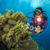 SeaLife Micro 3.0 Limited Edition Gift S...: Picture 5 thumbnail