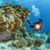 SeaLife Micro 3.0 Limited Edition Gift S...: Picture 8 thumbnail