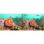 SeaLife Micro Wide Angle Dome Lens: Picture 8 thumbnail
