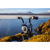 SeaLife Sea Dragon 5000+: Picture 5 thumbnail