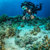 SeaLife Sea Dragon Pro Dual Beam, Black/...: Picture 9 thumbnail