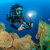 SeaLife Sea Dragon Pro Dual Beam, Black/...: Picture 10 thumbnail