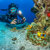 SeaLife Sea Dragon Pro Dual Beam, Black/...: Picture 11 thumbnail