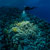 SeaLife Sea Dragon Pro Dual Beam, Black/...: Picture 8 thumbnail