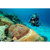 SeaLife Micro 3.0 Camera: Picture 11 thumbnail