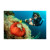 SeaLife Micro 3.0 Pro 3000 Color Boost S...: Picture 9 thumbnail