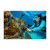 SeaLife Micro 3.0 Pro 3000 Color Boost S...: Picture 10 thumbnail