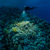 SeaLife Sea Dragon 3000SF Pro Dual Beam ...: Picture 7 thumbnail