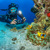 SeaLife Sea Dragon 3000SF Pro Dual Beam ...: Picture 8 thumbnail