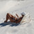 SUNNYLiFE Reclining Beach Chair: Picture 5 thumbnail