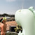 SunnyLife Surfing Dino Inflatable Giant ...: Picture 10 thumbnail