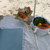 SunnyLife Le Weekend Natural Portable Pi...: Picture 10 thumbnail