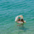 SunnyLife Duck Sage Stripe Float Togethe...: Picture 11 thumbnail