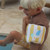 SunnyLife Sid the Seagull Mustard Stripe...: Picture 9 thumbnail