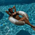 SunnyLife Rustico Driftwood Stripe Slim ...: Picture 10 thumbnail