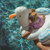 SunnyLife Kids Tube Pool Ring: Picture 10 thumbnail