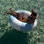 SunnyLife Lazy Days Duck Egg Blue Pool R...: Picture 10 thumbnail