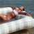 SUNNYLiFE The Vacay Soft Olive Luxe Twin...: Picture 4 thumbnail