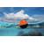 Swellpro Dronar Wireless Sonar Fish Find...: Picture 22 thumbnail