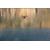 Swellpro Dronar Wireless Sonar Fish Find...: Picture 23 thumbnail
