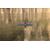 Swellpro Dronar Wireless Sonar Fish Find...: Picture 28 thumbnail