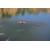 Swellpro Dronar Wireless Sonar Fish Find...: Picture 30 thumbnail