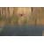 Swellpro Dronar Wireless Sonar Fish Find...: Picture 31 thumbnail