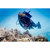 Suunto Zoop Novo Wrist Computer with USB...: Picture 3 thumbnail