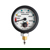 Sherwood Pressure Gauge Module, Imperial 