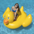 Swimline Giant Lucky Duck Inflatable Rid...: Picture 2 thumbnail