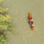 Wilderness Systems Pamlico 145 Recreatio...: Picture 3 thumbnail