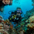 Waterproof 3.5mm Tropic Men's Full Wetsu...: Picture 11 thumbnail