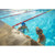 Zoggs Predator Adjustable Swim Goggles: Picture 3 thumbnail