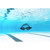 Zoggs Spectra Swim Goggles: Picture 5 thumbnail