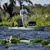 Garmin Quatix 8 AMOLED Marine GPS Smartw...: Picture 16 thumbnail