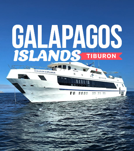 Galapagos Tiburon Liveaboard