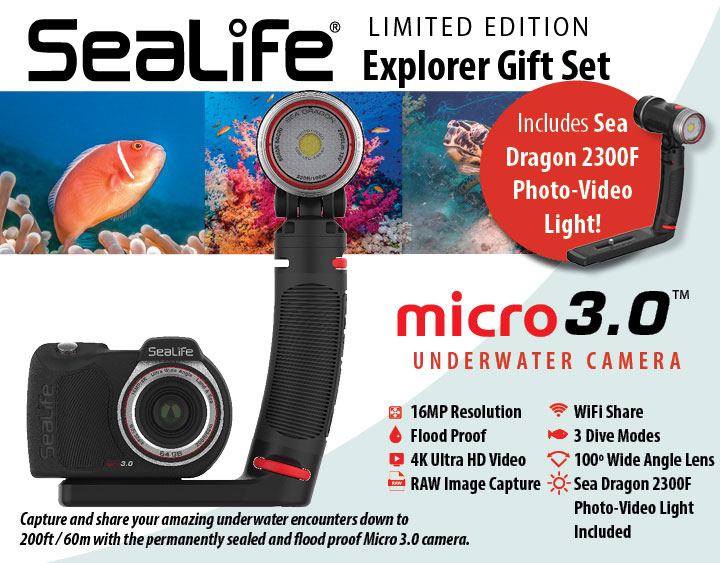 Sealife Explorer Gift Set