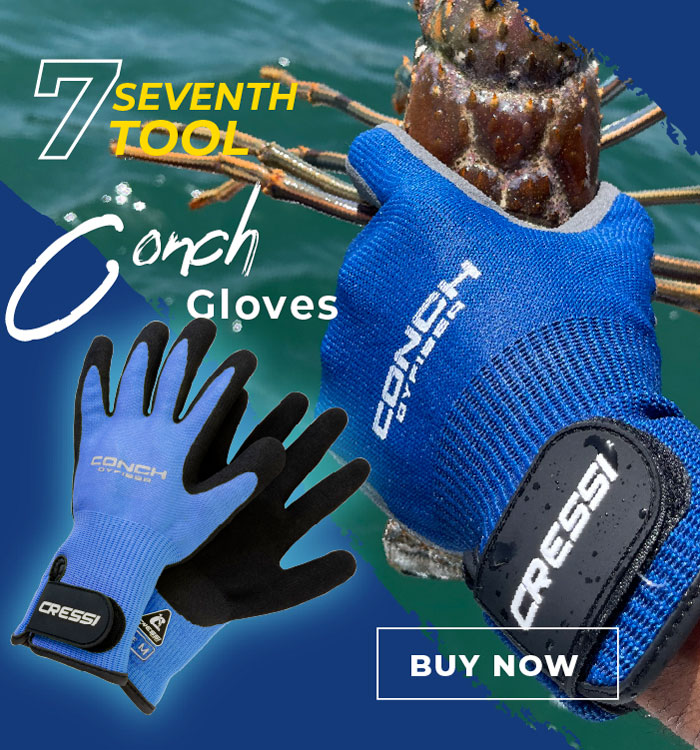 Cressi Conch Dryfiber Gloves