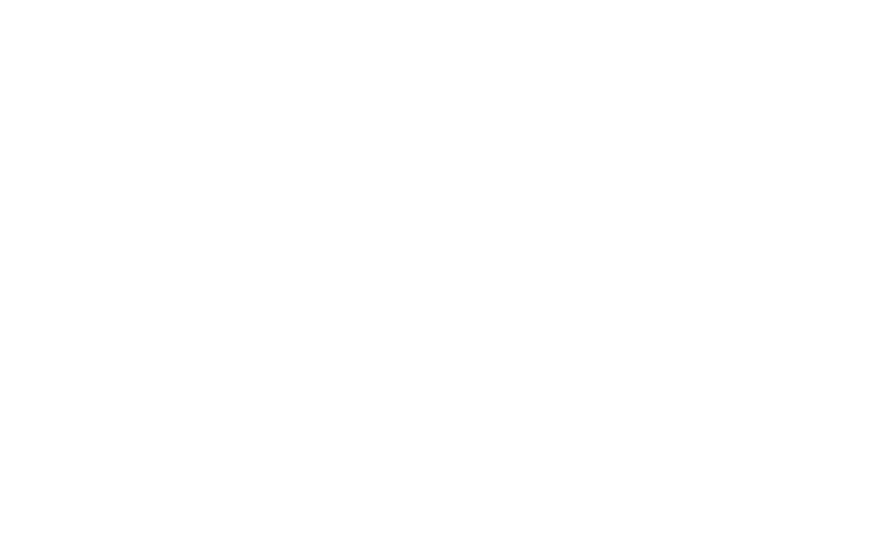 New Year, New Adventures with New Arrivals!