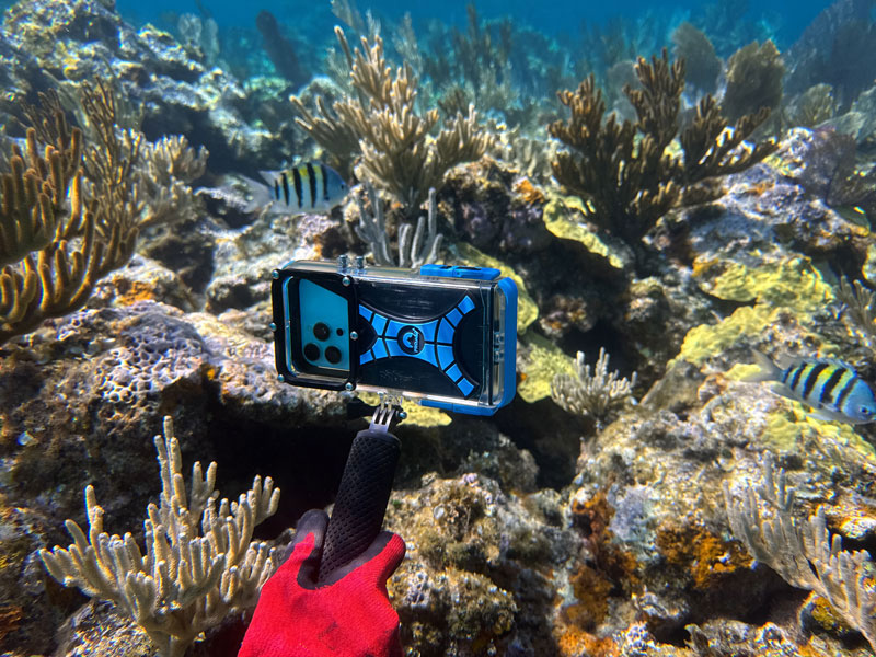 ProShot Dive 20 Universal iPhone Case