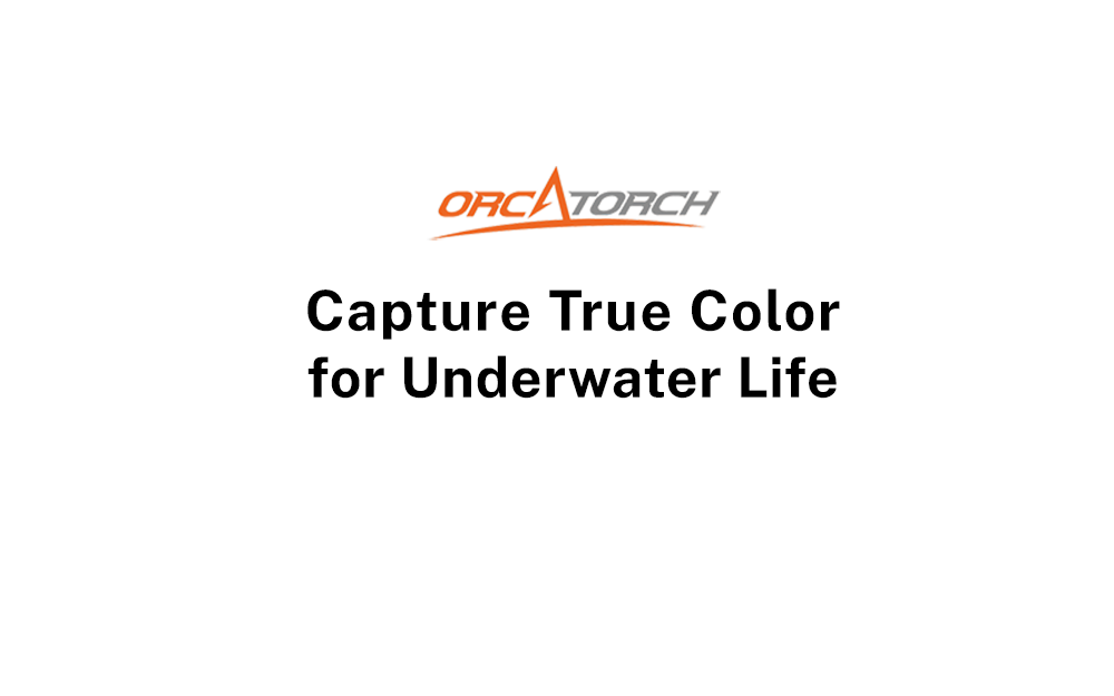 OrcaTorch Underwater Dive & Photo Lights