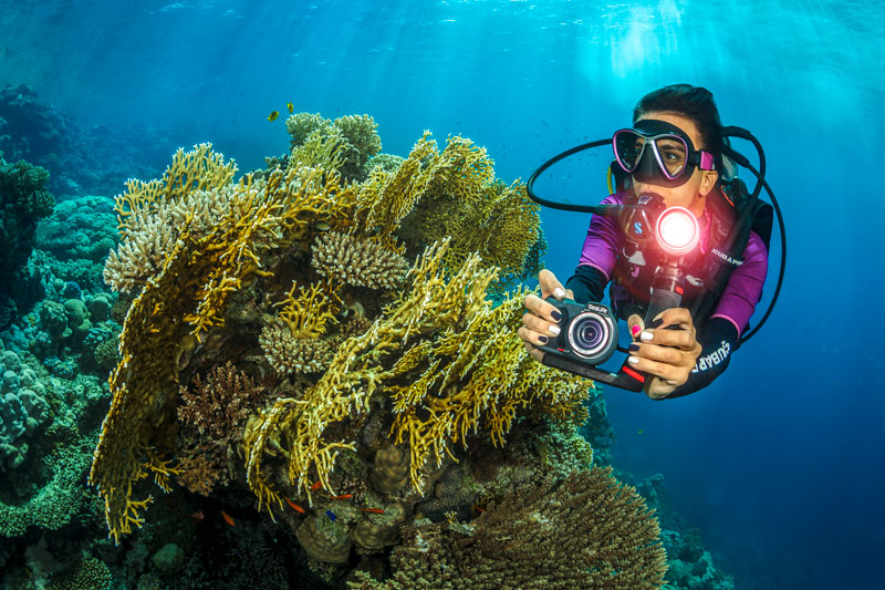 Capture Stunning Images and Video