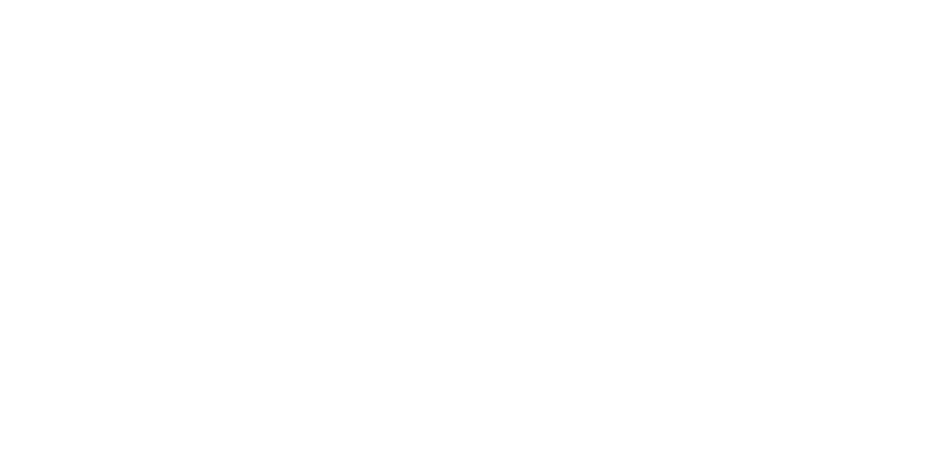 Black Friday Sale