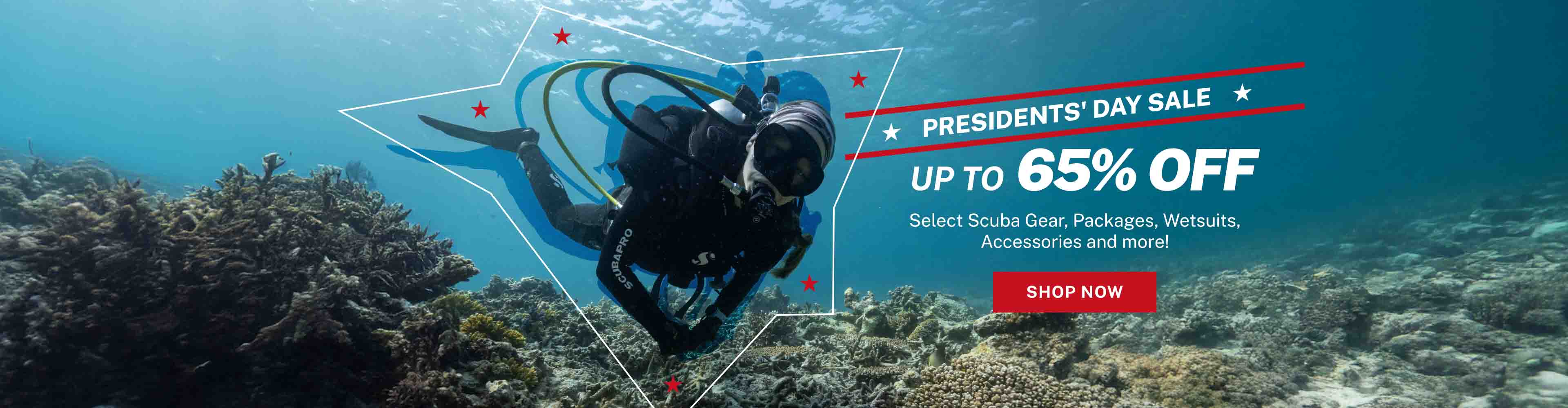 Presidents' Day Sale