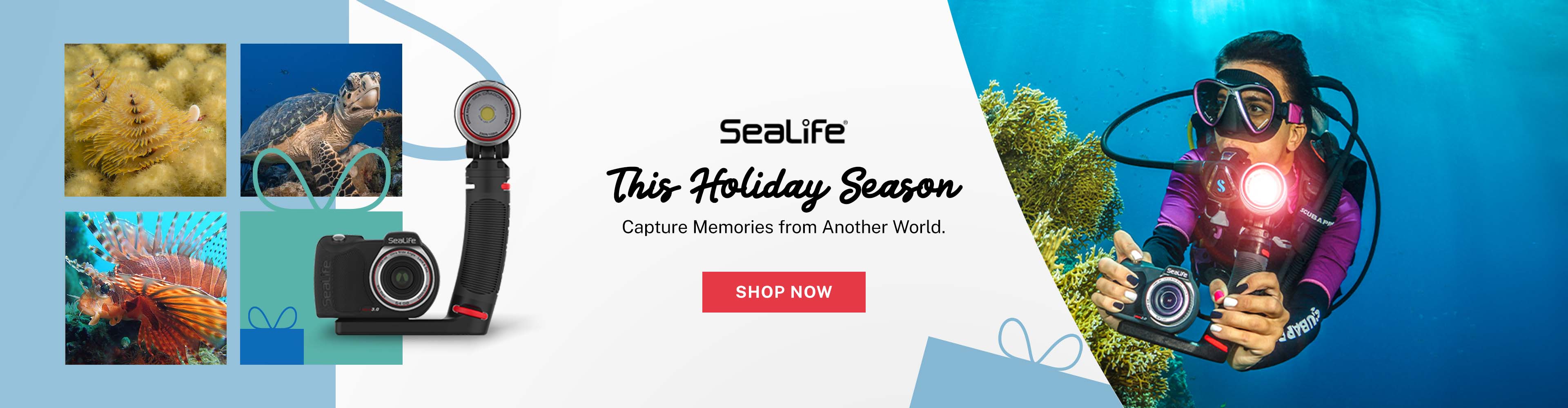 Sealife Holiday Gifts