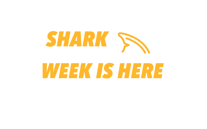 Shark Awareness Week - Tips, Giveaway and Top Gear