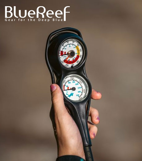 BlueReef | Dive with Confidence