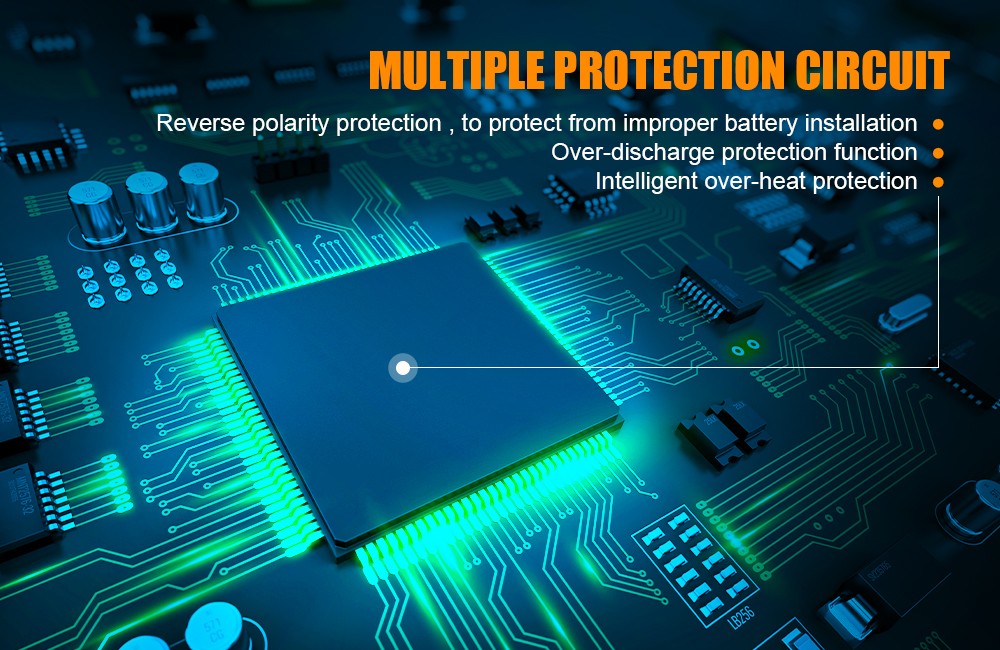 Multiple Circuit Protection