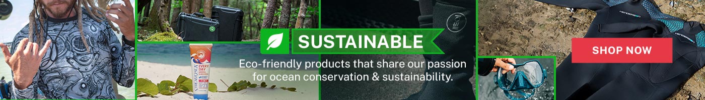 Shop Our Sustainable Collection