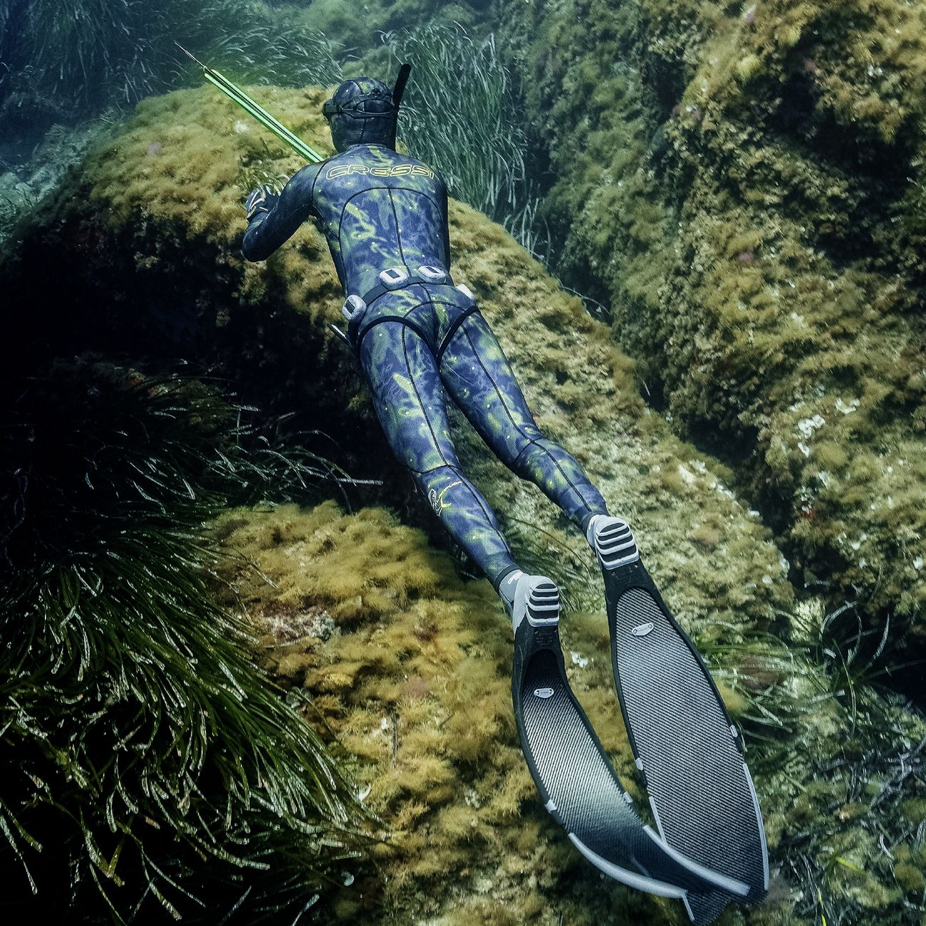 Cressi Lampuga freediving spearfishing wetsuit